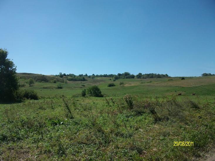 Тарасівці з panoramio.com - Тарасовцы