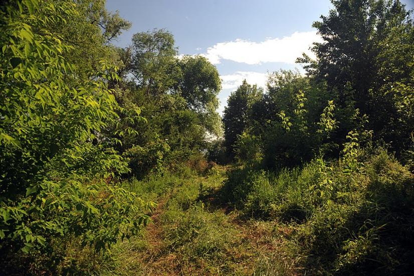 Олександро-Калинове з panoramio.com - Олександро-Калинове