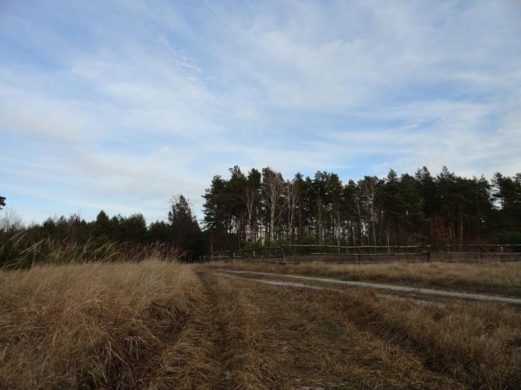 Звози з panoramio.com - Звозы