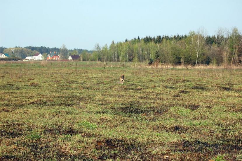 Мила з panoramio.com - Мила