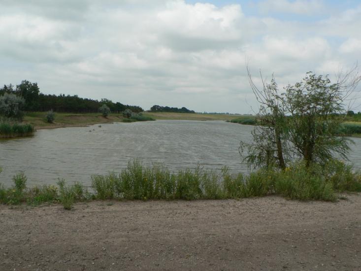 Баштанка з panoramio.com - Баштанка