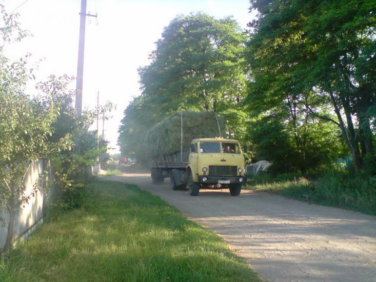 Гоголів з panoramio.com - Гоголев