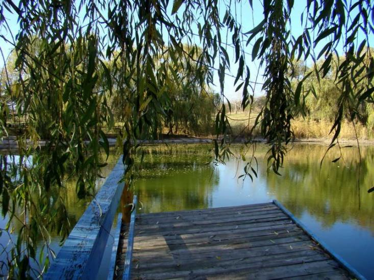 Ясенівський з panoramio.com - Ясеновский