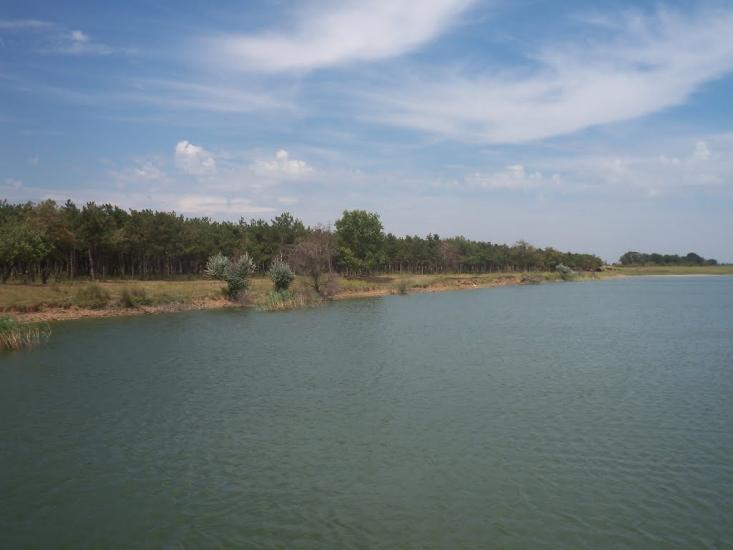 Баштанка з panoramio.com - Bashtanka