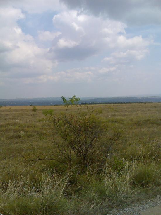 Топорівці з panoramio.com - Топорівці