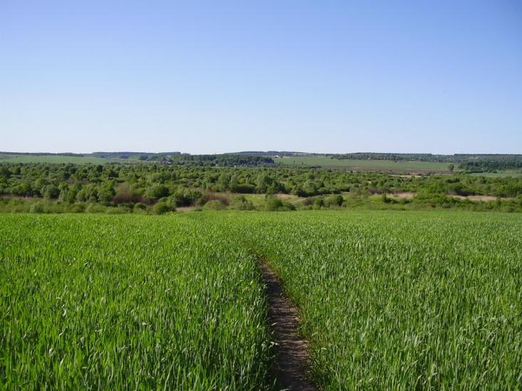 Коржівці з panoramio.com - Korzhivtsi