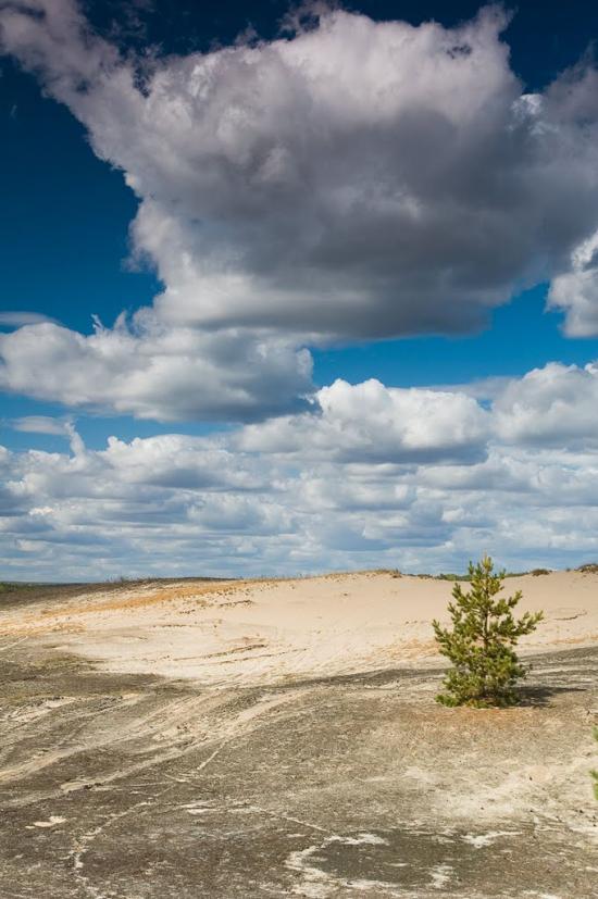 Кицівка з panoramio.com - Кицевка