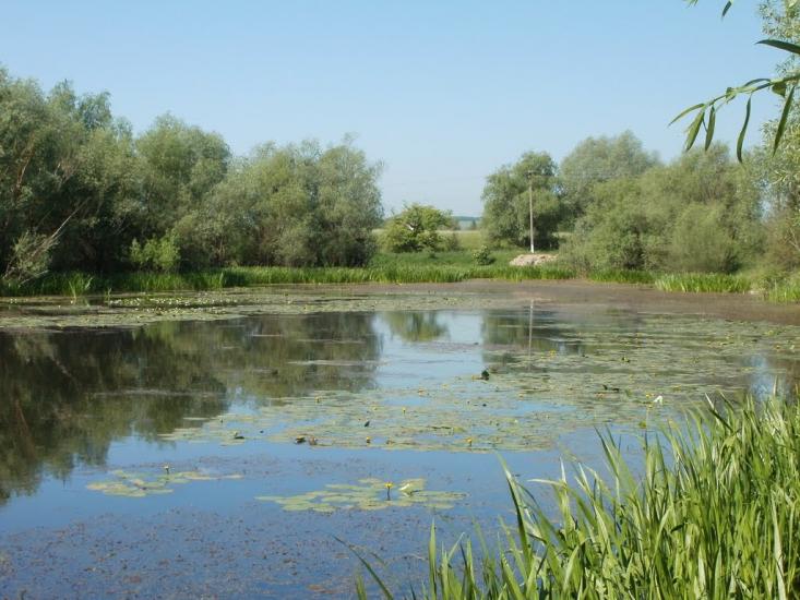 Дубівці з panoramio.com - Дубовцы