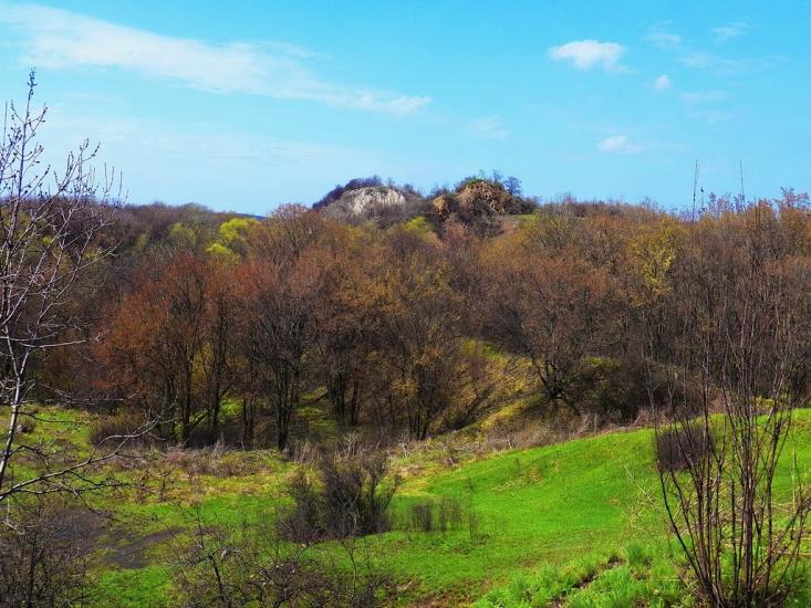 Олександрівське з panoramio.com - Александровское