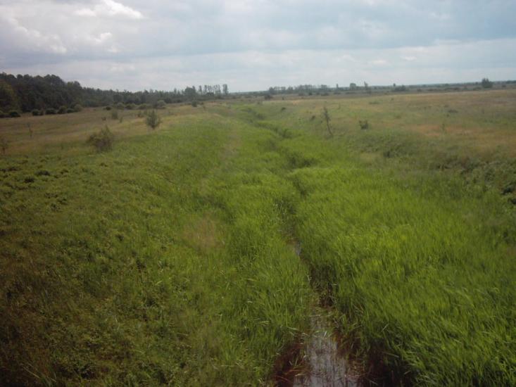 Лисняки з panoramio.com - Лисняки