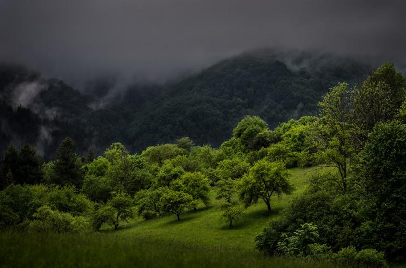 Річка з panoramio.com - Річка
