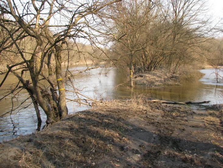 Підлісне з panoramio.com - Pidlisne