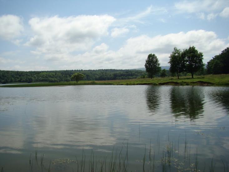 Доброгостів з panoramio.com - Dobrogostiv