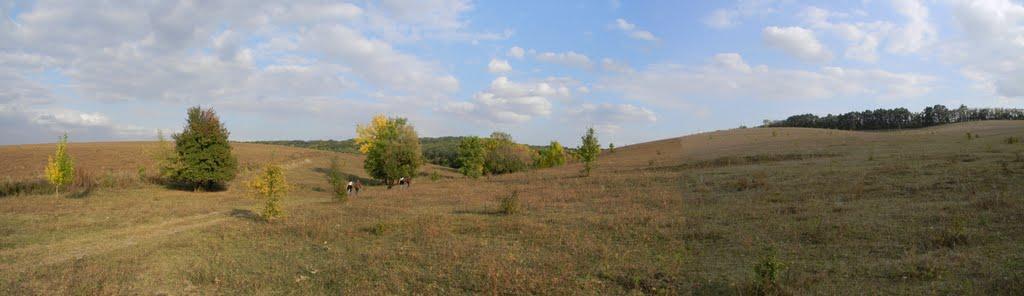 Івангород з panoramio.com - Ивангород