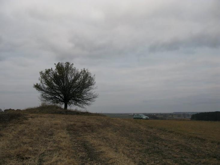Райки з panoramio.com - Райки