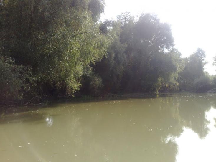 Дунайське з panoramio.com (ч.2) - Дунайське