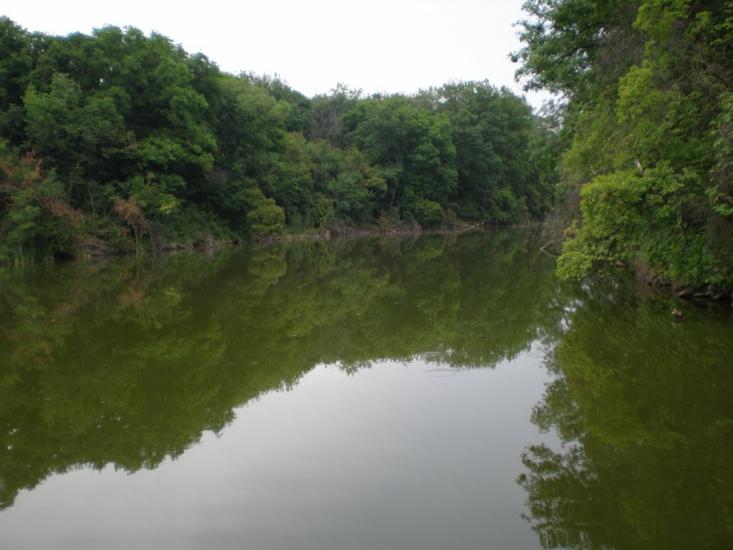 Верхньокам'янка з panoramio.com - Верхнекаменка