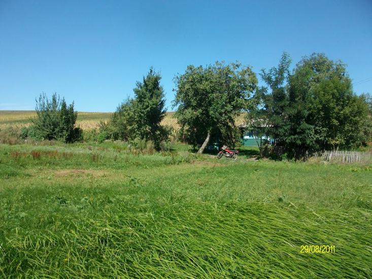 Тарасівці з panoramio.com - Тарасовцы