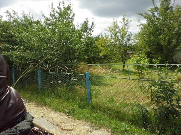 Сошники з panoramio.com - Сошники
