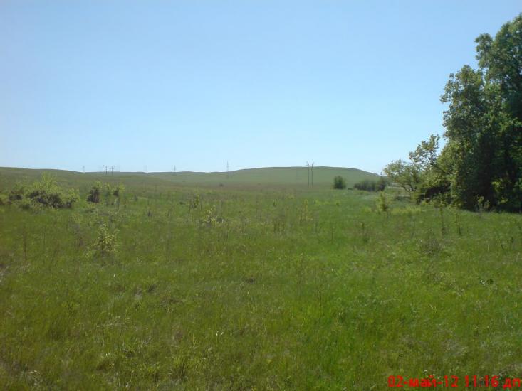 Павлівка з panoramio.com - Павлівка