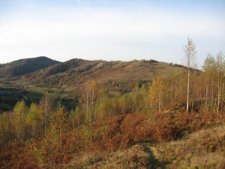 Битків з panoramio.com - Битків