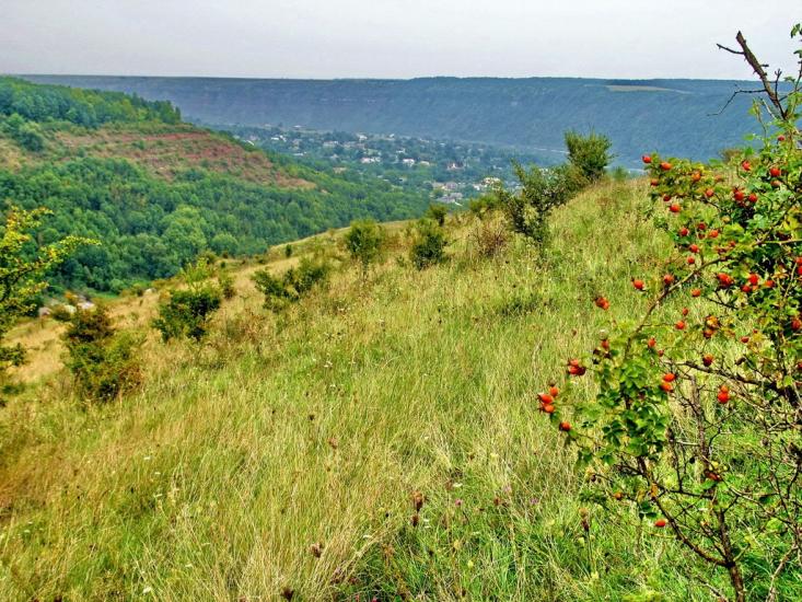 Городниця з panoramio.com - Gorodnytsya