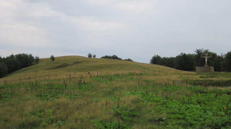 Усть-Чорна з panoramio.com - Усть-Чорна
