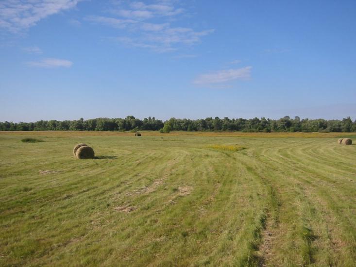 Вища Дубечня з panoramio.com - Высшая Дубечня