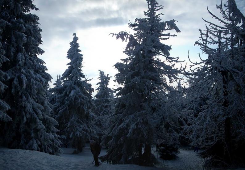 Тухолька з panoramio.com - Tukholka