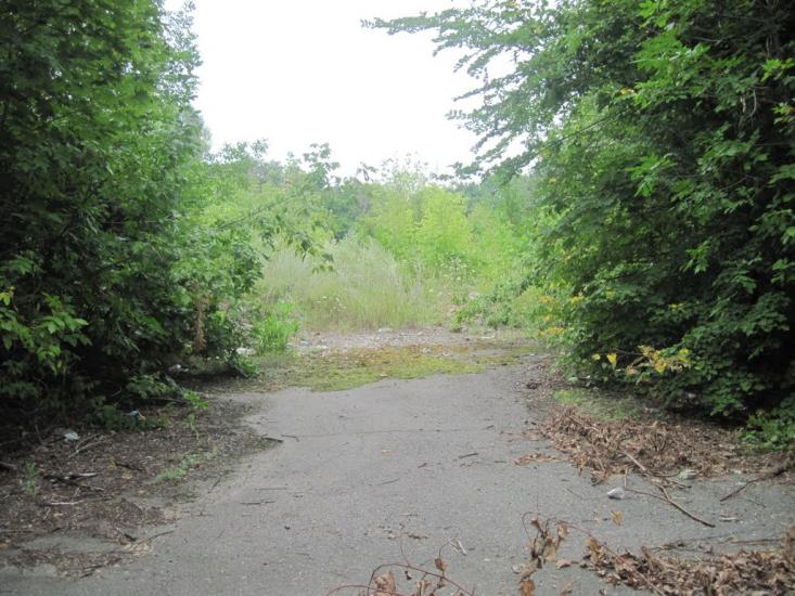 Павлиш з panoramio.com - Павлиш