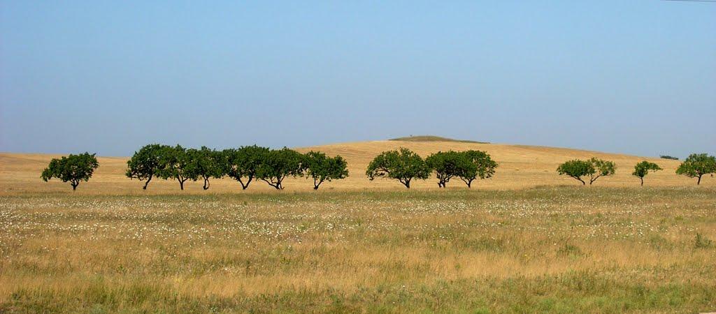 Віліне з panoramio.com - Viline