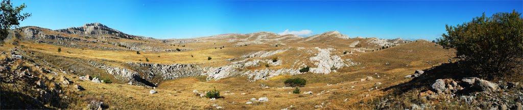 Запрудне з panoramio.com - Запрудне
