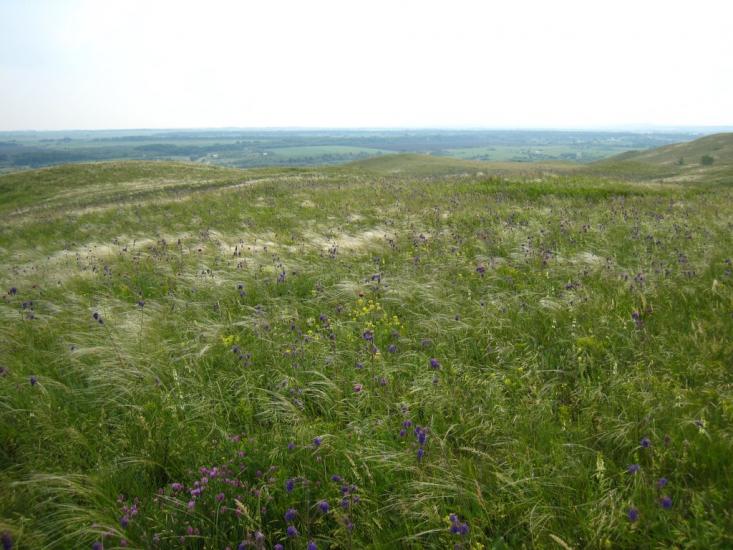 Верхня Оріхівка з panoramio.com - Верхня Оріхівка