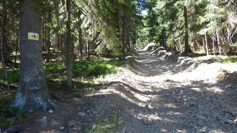 Вишків з panoramio.com - Вышков