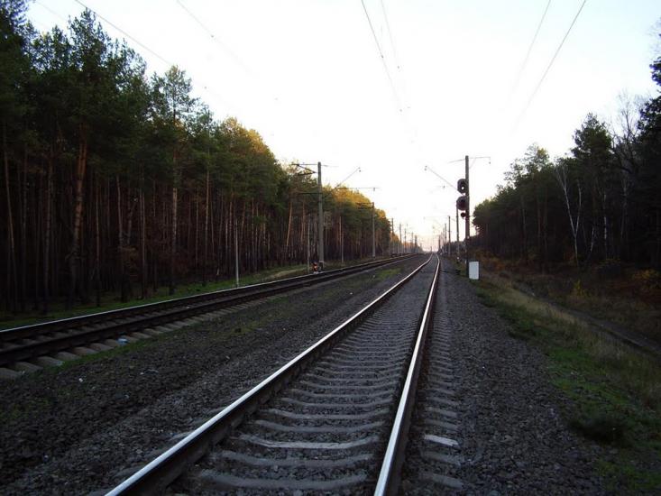Княжичі з panoramio.com - Княжичі