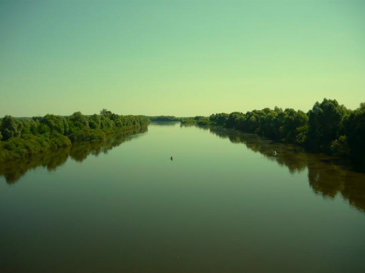 Вільне з panoramio.com - Vilne