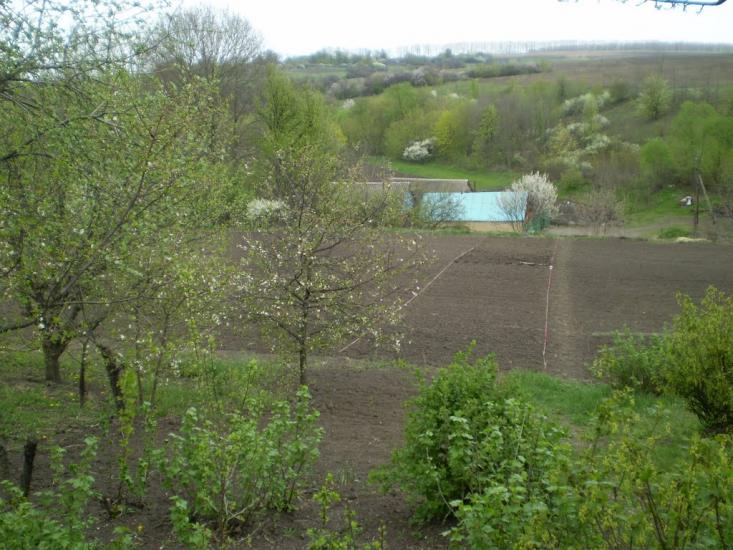 Тетющине з panoramio.com - Тетющине