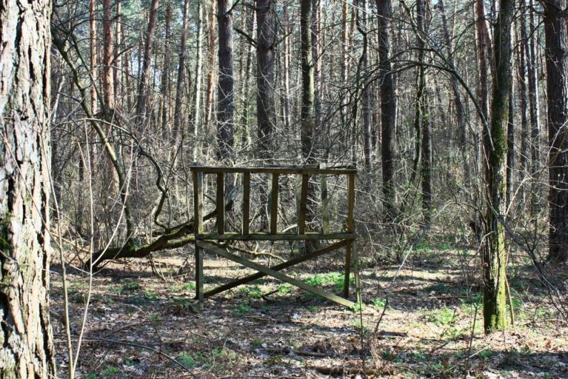 Княжичі з panoramio.com - Княжичі