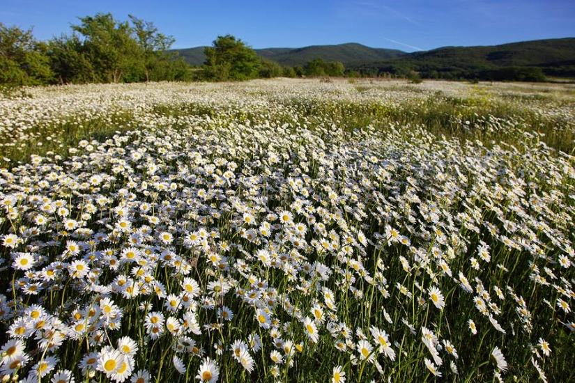 Гончарне з panoramio.com - Гончарное