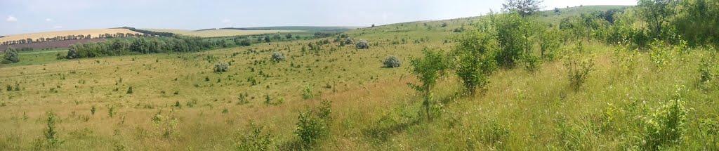 Новоукраїнка з panoramio.com - Новоукраїнка
