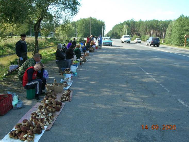 Демидів з panoramio.com - Демидов