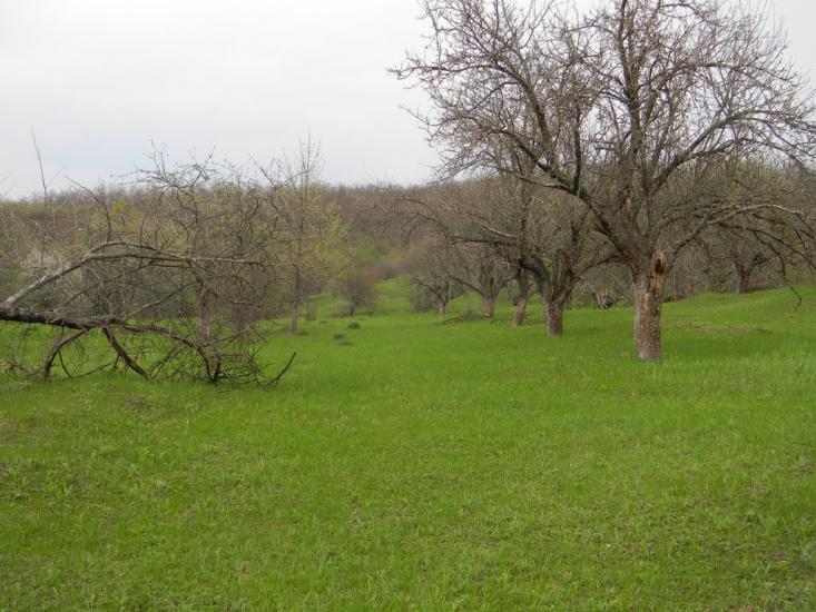 Івангород з panoramio.com - Ивангород
