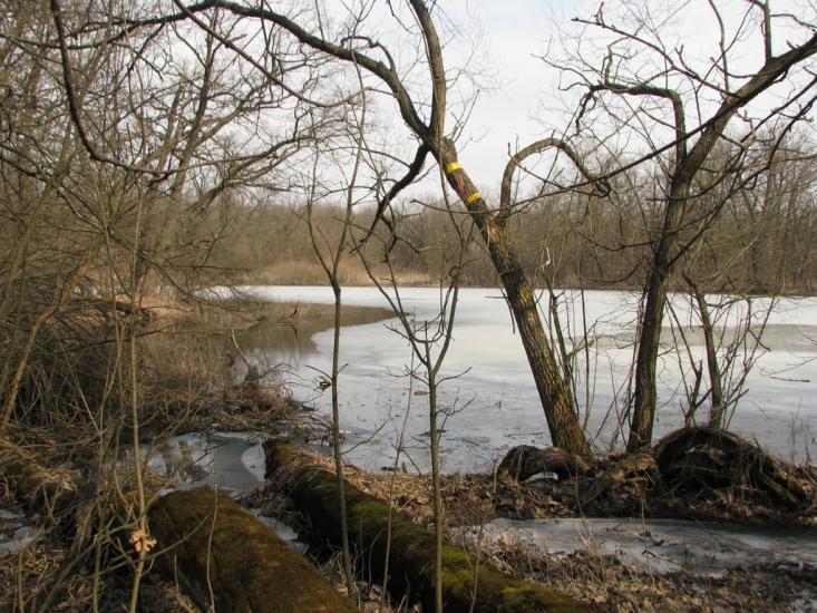 Підлісне з panoramio.com - Pidlisne