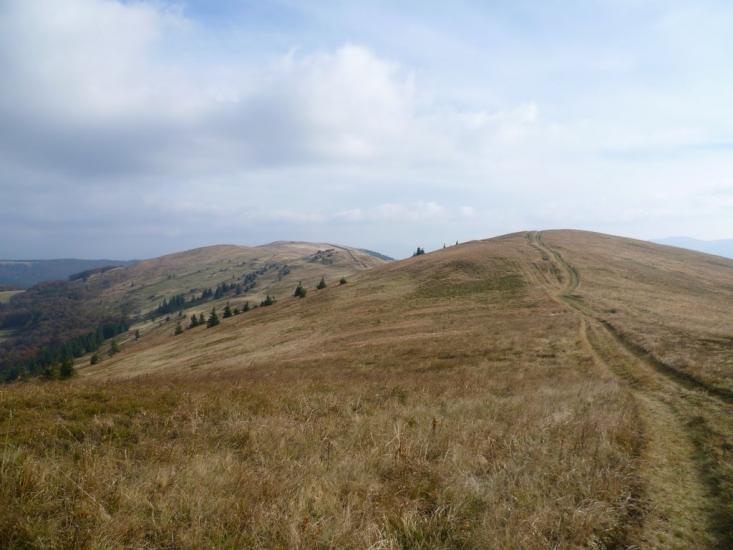 Верхня Рожанка з panoramio.com - Верхняя Рожанка