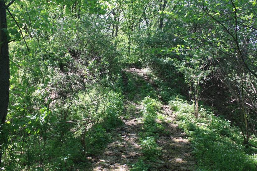 Велика Бурімка з panoramio.com - Великая Буромка