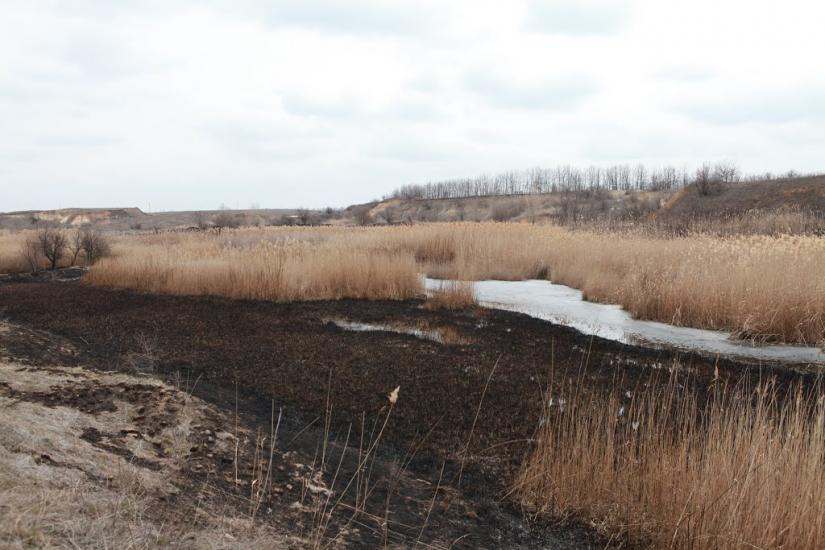 Прохорівське з panoramio.com - Прохоровское