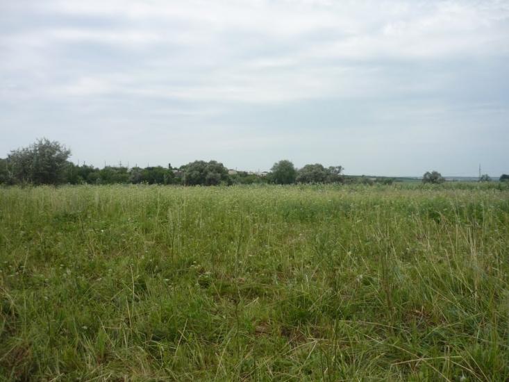 Широка Балка з panoramio.com - Широка Балка