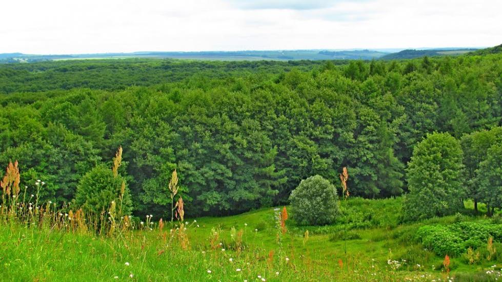 Підкамінь з panoramio.com - Подкамень