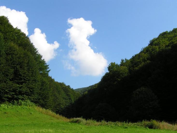 Осій з panoramio.com - Осій