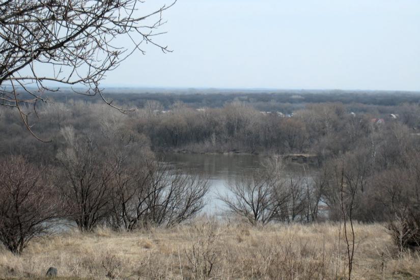 Піонерське з panoramio.com - Пионерское